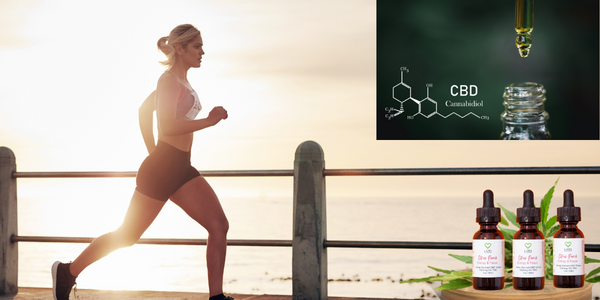 The Legal Road to Better Performance and Recovery in Active Lifestyles: CBD