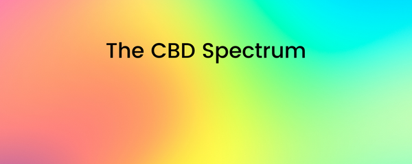 The CBD Spectrum: Which type of CBD should I try?